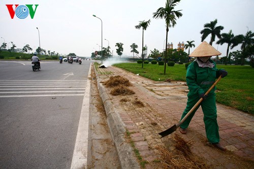 La moisson rizicole en plein Hanoï - ảnh 7